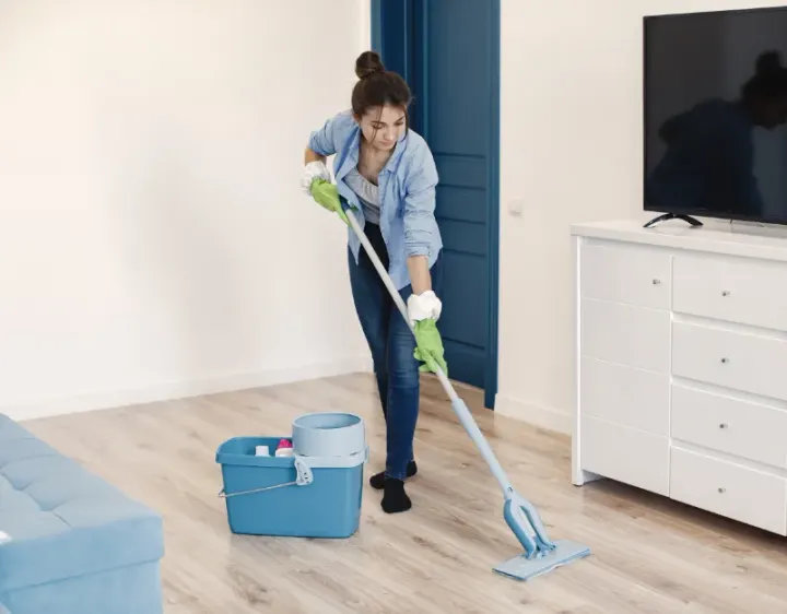 Femme de ménage Citers